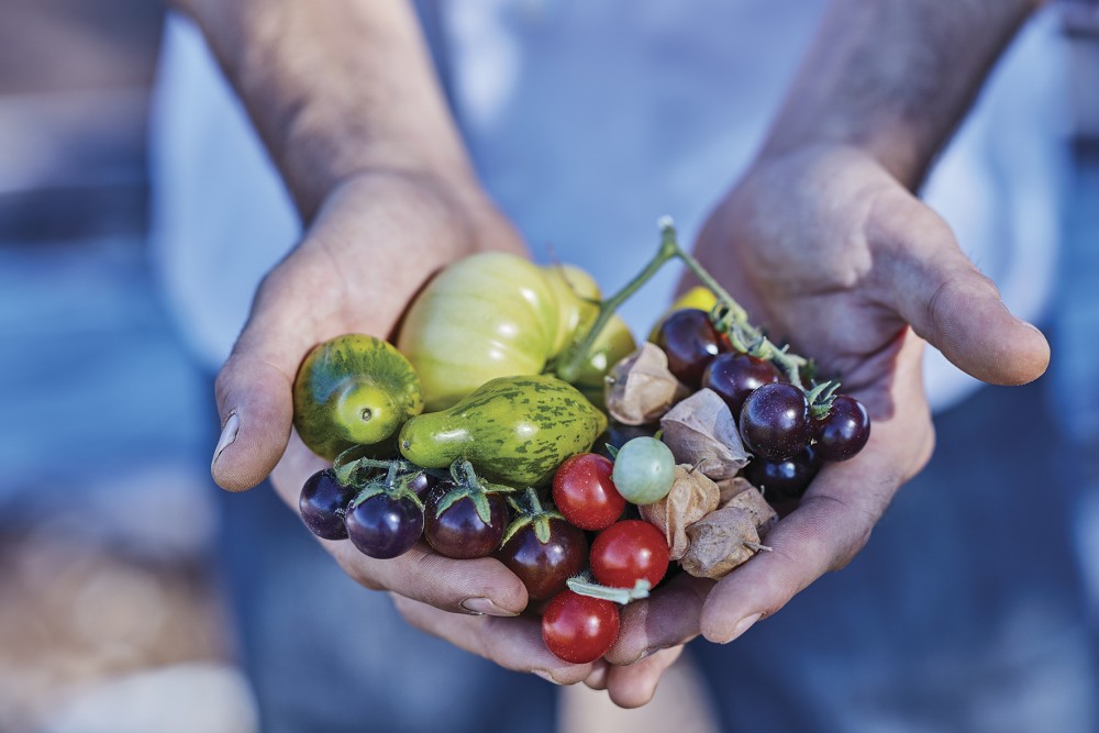 Ruca Malen huerta image